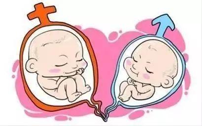 生殖妇科
